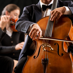 Exciting Facts About In Fayetteville