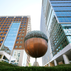 Local Map In Raleigh