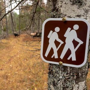 Complimentary Attractions Raleigh, NC