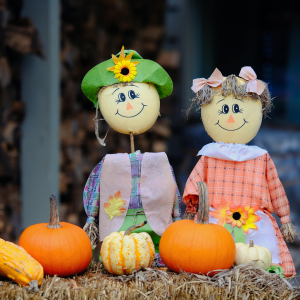 Best Activities for Kids Fayetteville