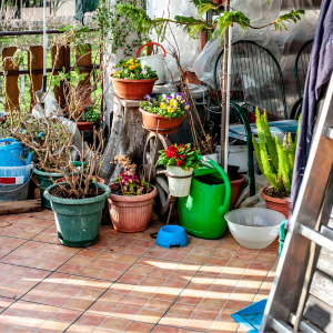 Sell Your Hoarder House In Alabama