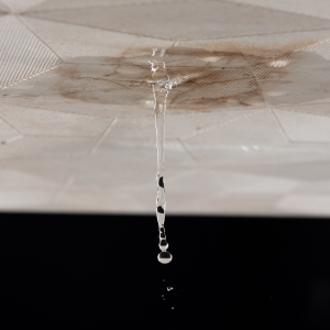 Steps to Selling a House With Water Damage In Athens