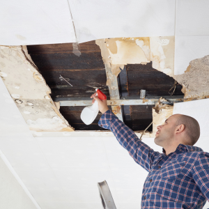 Guide to Selling a House With Water Damage In Alabama