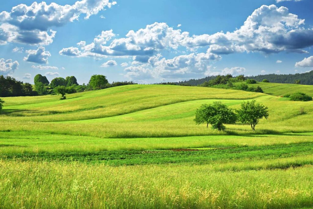 Land 2