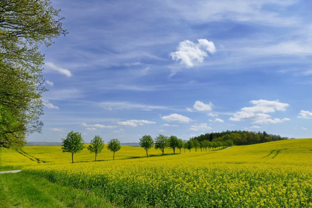 Land 3