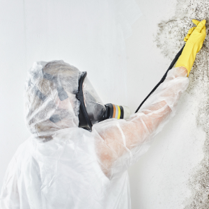 Sell my house with molds Newington