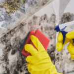 Selling house with mold Newington