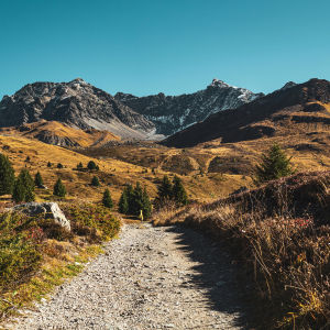 Complimentary Attractions Plainville