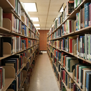 Free Activities Plainville