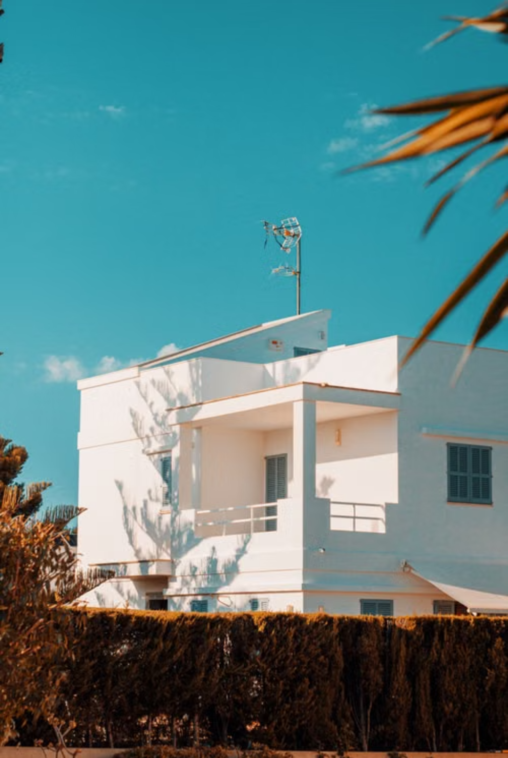 Why Families Choose 253 Realty in Roy