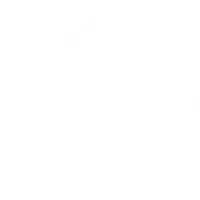 Title issues, liens, or code violations