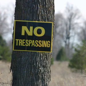 What Are Squatters Rights Arizona