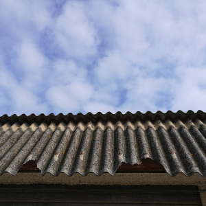 Selling My House With Asbestos In Texas