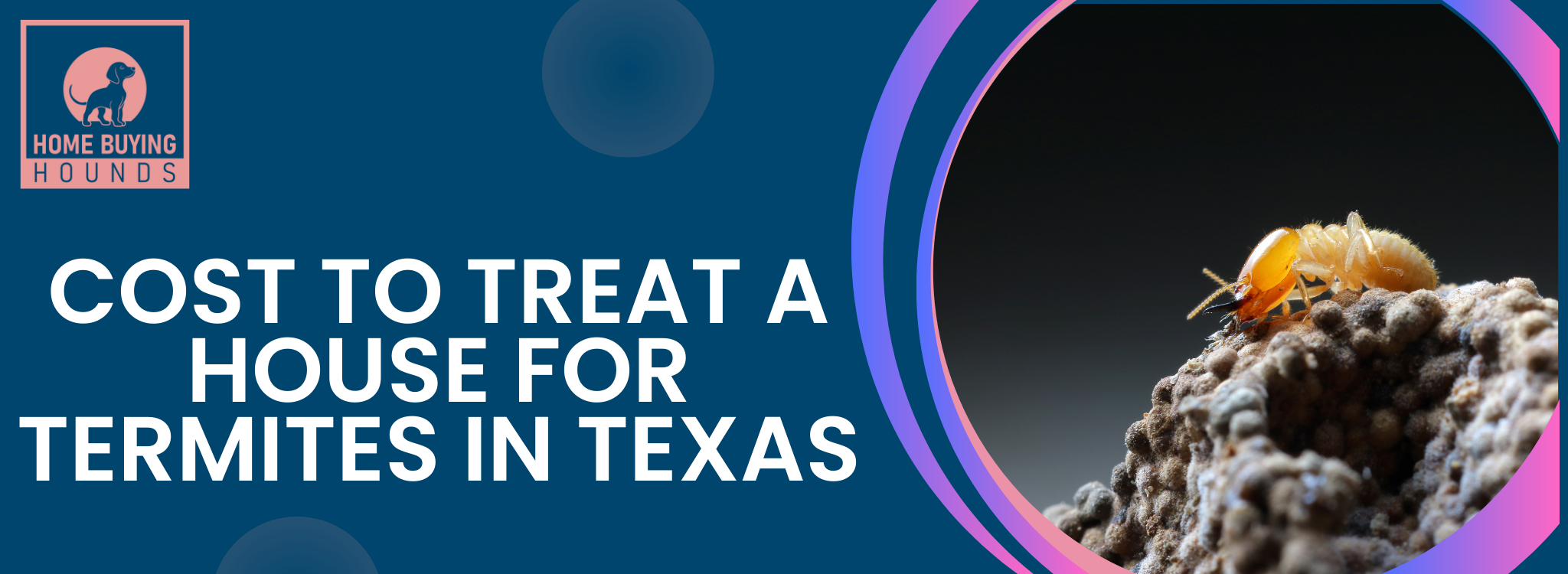 Cost to Treat Termites In Texas