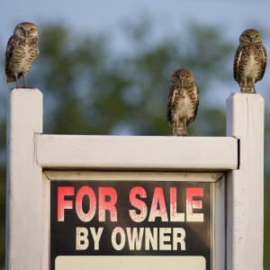 FSBO Expenses In Texas