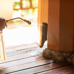 Termite Control Price In Texas
