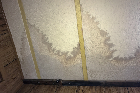 Fixing Mold Issues In Texas