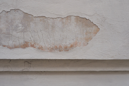 Mold Damage and Prevention Texas