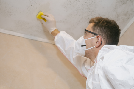 House Mold Problems In Texas