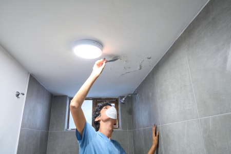 Prevent Mold In Texas