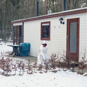 How to Run Your Mobile Home Park Effectively In Texas
