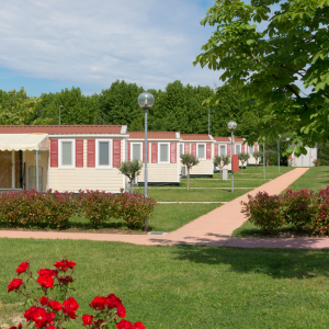 Managing a Mobile Home Park Successfully In Texas