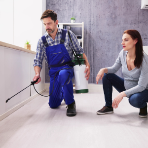 How Expensive Are Termite Inspection Services Texas
