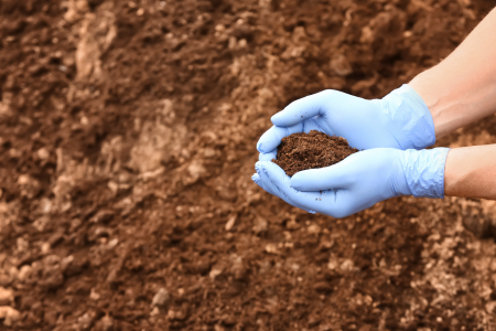 How do Soil Types Affect Foundations in Texas