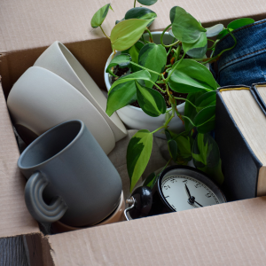 Managing Downsizing With Children in Texas
