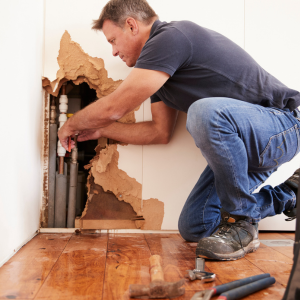 FHA-regulated repairs in Texas