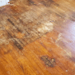 What to Know About Selling a House With Water Damage Fort Worth