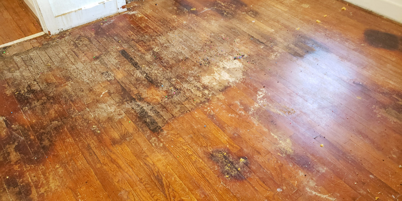 What to Know About Selling a House With Water Damage Fort Worth