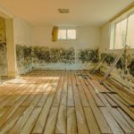 Selling A Mold-affected House Charlotte