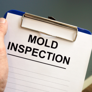 Tips for Selling a Moldy Property in Charlotte Charlotte