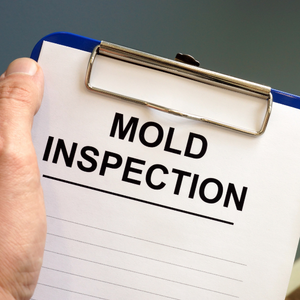 Sell a House Fast With Mold North Carolina