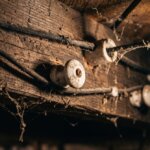 Vintage knob-and-tube wiring with ceramic knobs along basement joists in a century-old Winnipeg house