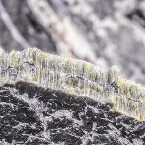 Selling a House With Asbestos In Virginia