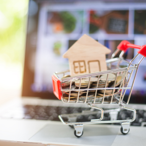 Selling a House Online In Maryland