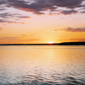 Explore for Free Alexandria