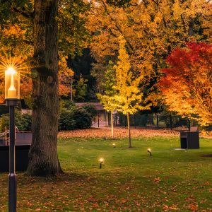 Local Area Map In Fairfax