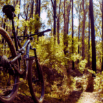 Things to Do in Alexandria for free Alexandria