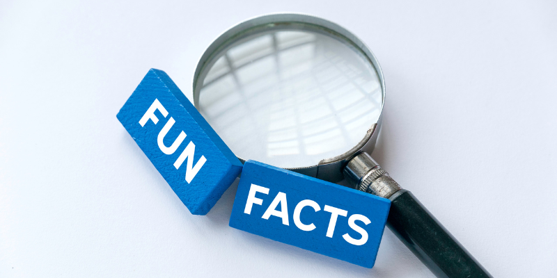 Cool Facts [market_city]