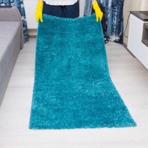 Does Old Carpet Hurt Your Home’s Resale Value in Annapolis
