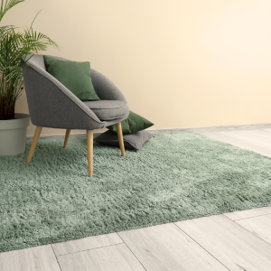 Is Replacing Carpet Worth It Before You Sell Your House in Annapolis