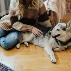 Selling a Home with Pets Frederick, MD