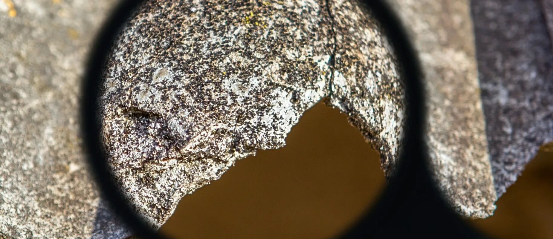 How to Sell My Homes With Asbestos in Virginia