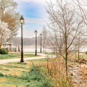 Top Fun Experiences for Kids In Alexandria