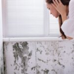 Understanding Mold Issues and Their Impact on Home Sales