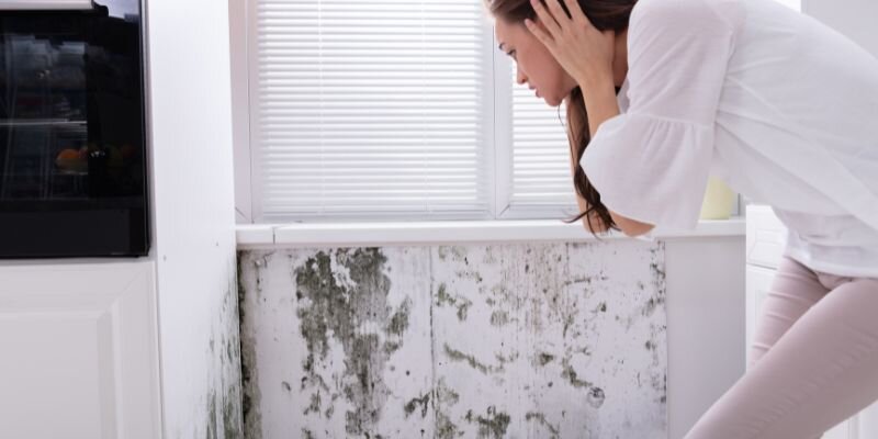 Understanding Mold Issues and Their Impact on Home Sales