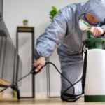 Do I Need a Termite Bond When Selling My House In Maryland